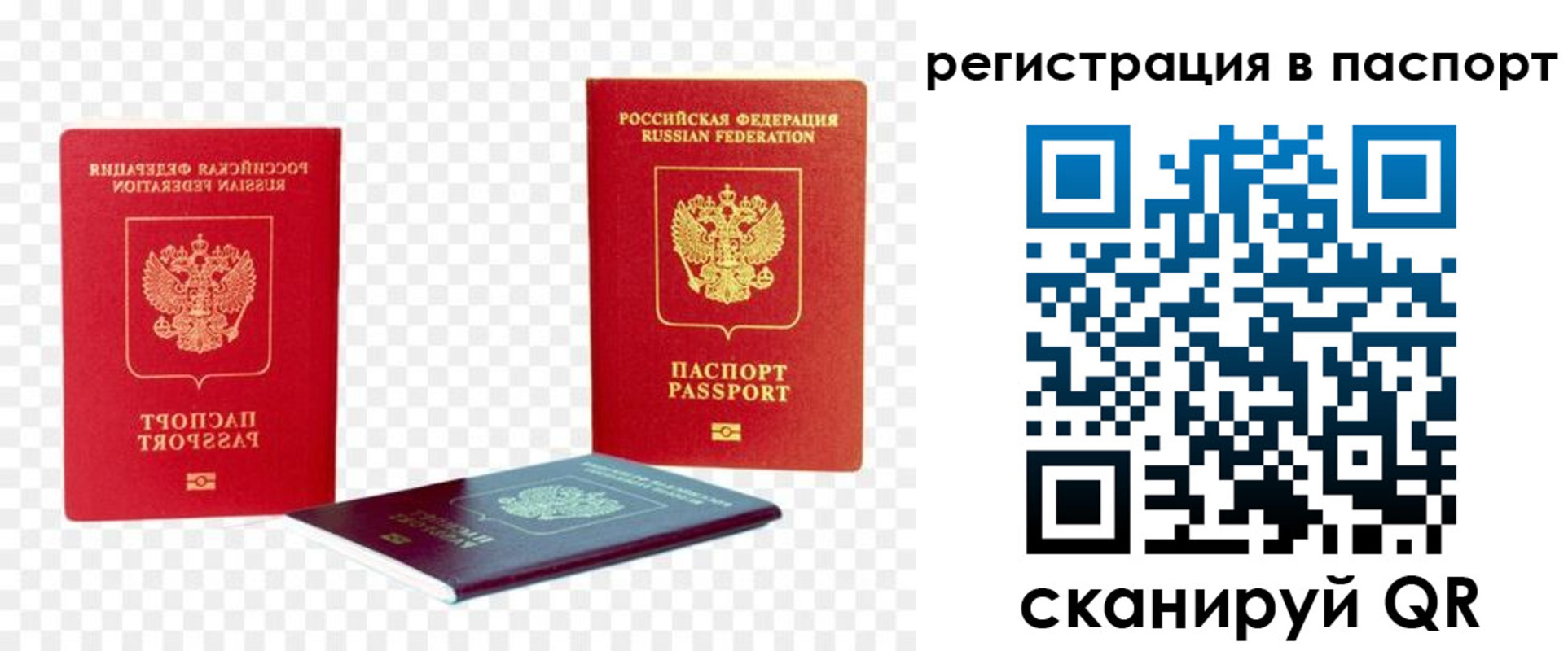 временная регистрация поиск в Амурске